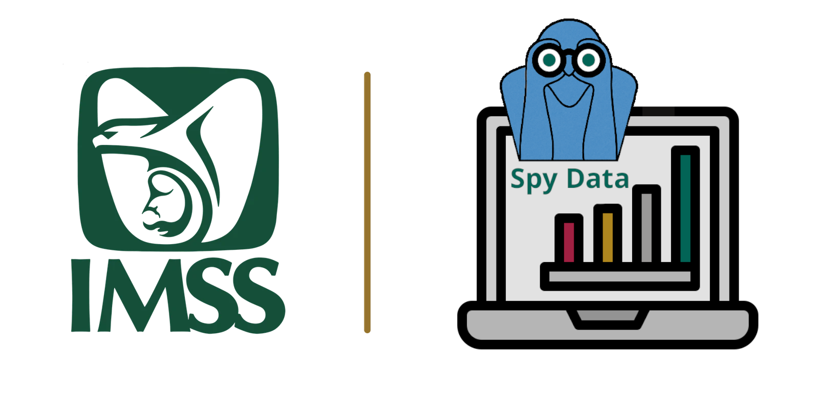 Logo IMSS / SpyData